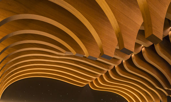 Techo de Ondas MC Roble - Imagen 7