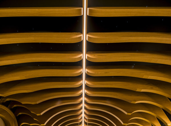 Techo de Ondas MC Roble - Imagen 4