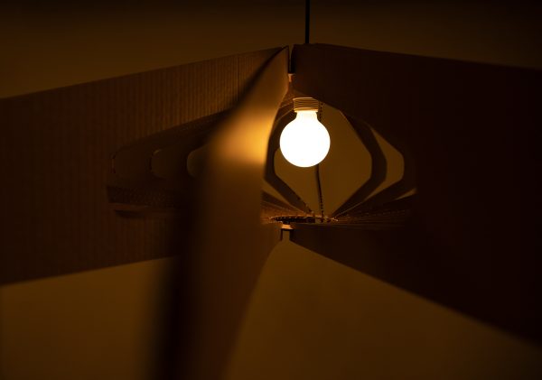 Li Lamp Cardboard - Imagen 10